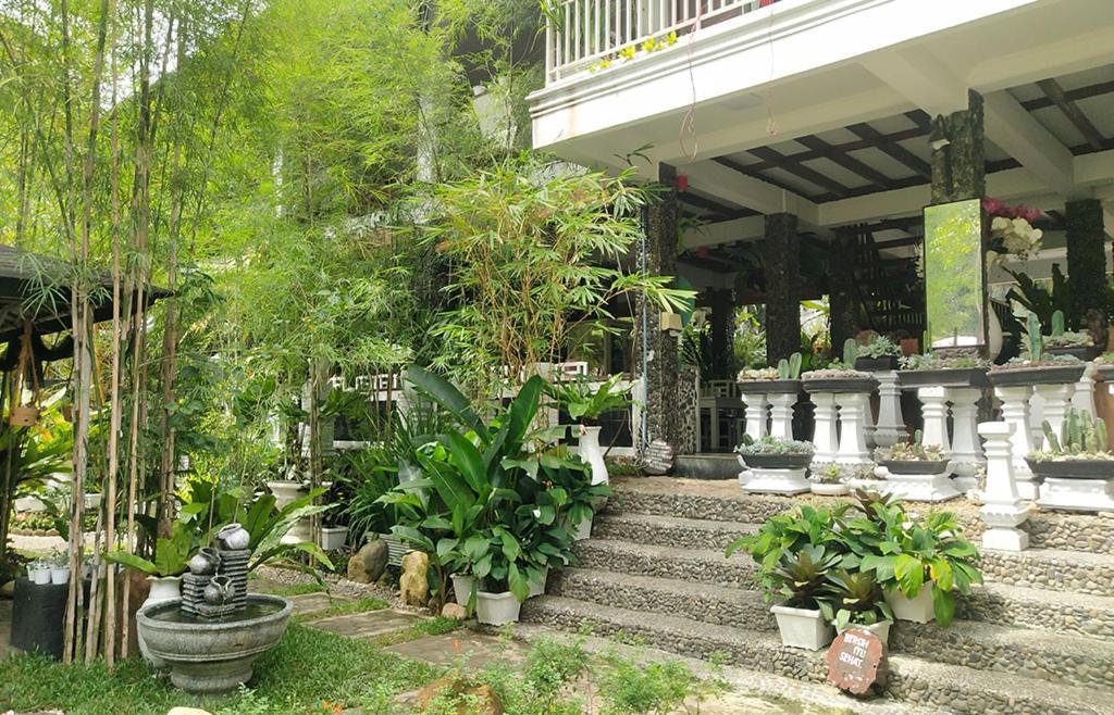 New The Heritage Resort & Restaurant Bukit Lawang Bandartelu Экстерьер фото